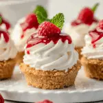 Mini No-Bake Raspberry Cheesecakes 3 Mini No-Bake Raspberry Cheesecakes
