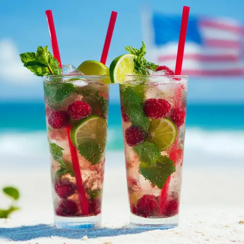 Raspberry Lime Mojito Mocktail