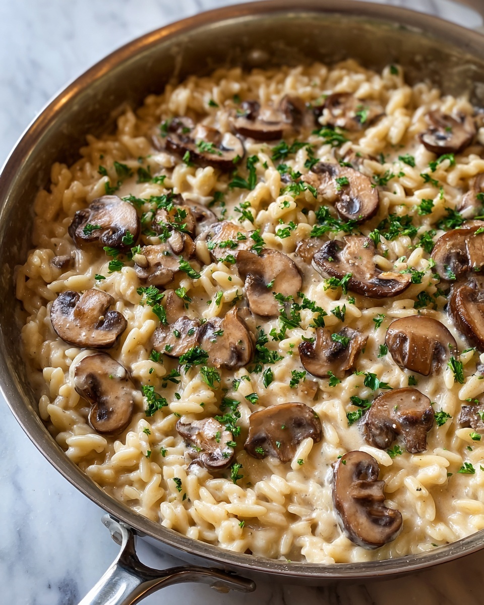 One-Pot Creamy Mushroom Orzo Recipe - Recipe Image