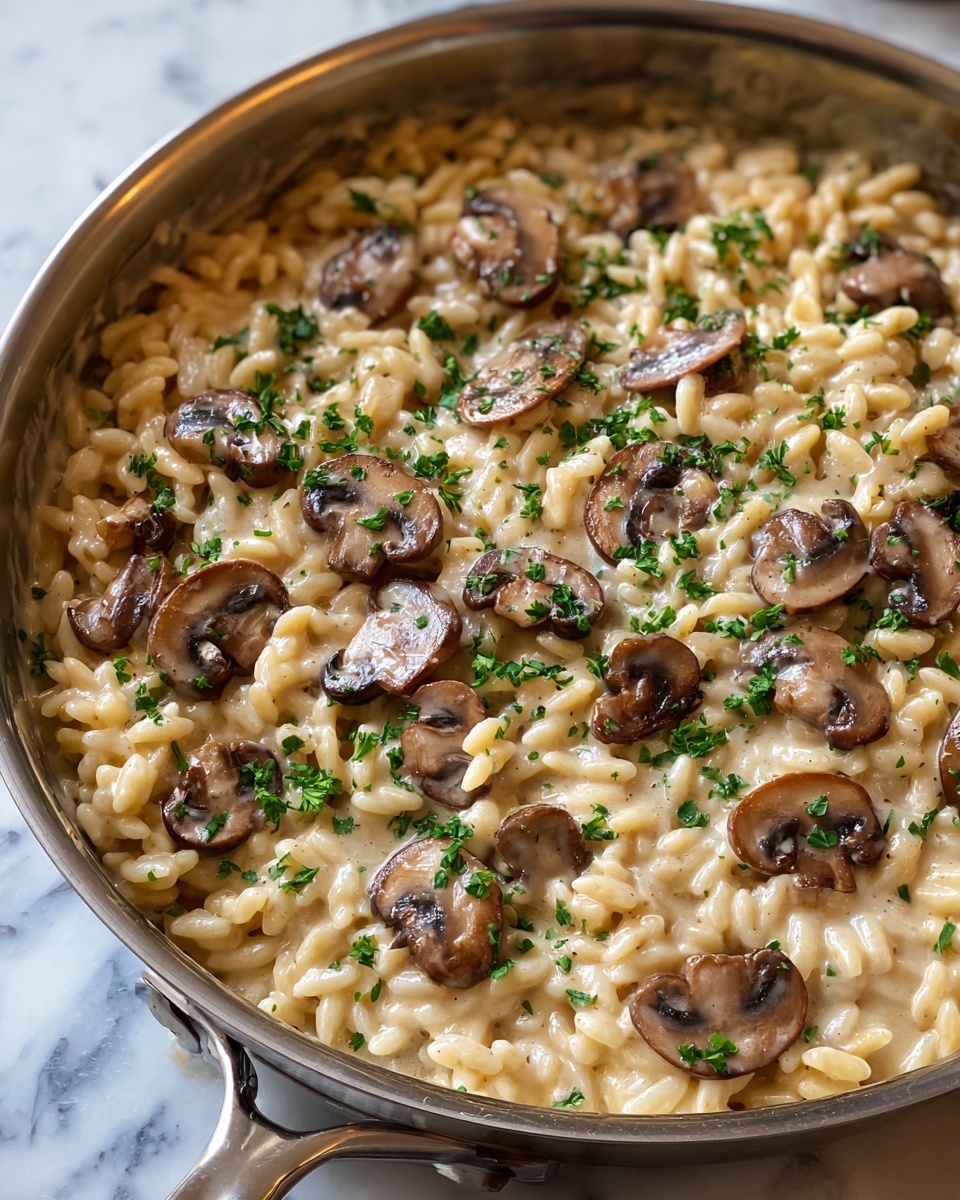 One-Pot Creamy Mushroom Orzo Recipe - Recipe Image