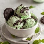Mint Chocolate Chip Protein Ice Cream (Ninja Creami) Recipe