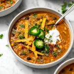 Vegan Lentil Tortilla Soup Recipe